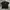 Tshirt Tiger Embroidery Black Pria Second 