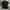 Tshirt Mastermind World tee Black Pria Second  photo 2