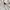 H&M Pullover Hoodie Basic White Putih Polos Reguler Fit Not  photo 3
