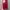 [NEW] Wodecase Everyday Macaron Silicone Case (Red - 15PM) photo 1