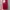 [NEW] Wodecase Everyday Macaron Silicone Case (Red - 15PM)