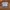 Adidas Camouflage Trefoil ©2018 tag by Official photo 5