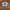 Adidas Camouflage Trefoil ©2018 tag by Official photo 1