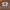 Adidas Camouflage Trefoil ©2018 Tag By Official