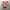 Hako One Randoseru Japanese School Bag photo 1