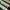 Moment Stripe Crewneck Salur Green White Reguler Fit Cotton photo 6