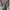 Long dress brand Executive  photo 3