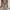 Piyama Lingerie No Brand