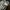 Vans Fear of God x Vans Era 95 DX photo 9