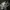 Vans Fear of God x Vans Era 95 DX photo 3