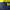 MLB Sportswear Jersey Pria navy yellow photo 3