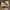 Salomon Gorpcore Streetwear Sneakers Pria brown gray photo 1