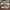 Salomon Gorpcore Streetwear Sneakers Pria brown gray photo 3