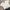 Vintage Y2K Crop top Wanita white photo 2