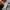 Bronson Rugged Wear Japanese Brand Vest Denim photo 8