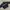 Ellesse Casual Trench coat Pria black photo 3