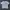True Religion Reversibel  photo 1