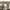 NHIZ by Neighborhood Chino Pants Embroidered  photo 9