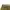 Double Knee Buckel Back H&M Sun Fadded photo 3