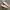 Vans Authentic Translucent Checkerboard Sole photo 2