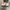 Vans Authentic Translucent Checkerboard Sole photo 5