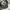 Realtree hat PPG by true timber photo 5