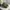 Realtree hat by K products photo 4