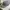 Oakley reflectife logo trucker mesh photo 4