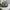 Oakley reflectife logo trucker mesh photo 5