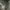 Adidas Yeezy boost 350 v2 white size 41 photo 4