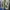 Adidas Yeezy boost 350 v2 white size 41 photo 2
