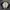 Jacket Casual Varsity Omphalos Size XXL photo 1