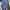 Tracktop Nike Navy Second Original photo 7