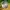 Starbucks x disney mickey mouse tumblr tumbler photo 4