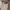GAP Minimalist Casual Short Pria khaki tan photo 6