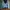 Crop top Hoodie bolbal Yale  photo 2