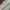 Renoma Indie Casual Polo shirt Pria multicolor silver photo 7