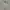 Renoma Indie Casual Polo Shirt Pria Multicolor Silver