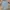 blue shirt with cross pattern fit body emo photo 5