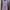 Lavender Lace Sheath Dress Preloved photo 2