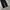Uniform bridge Fatigue pants photo 5
