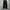 Uniform Bridge Fatigue Pants