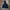 TNF Mp3 Black photo 1