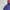 The North Face Sportswear Windbreaker  photo 5