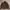 MALE & CO CAFERACER LEATHER JACKET | BIKER | CASUAL | OUTER photo 1