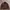 MALE & CO CAFERACER LEATHER JACKET | BIKER | CASUAL | OUTER