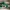 Nike Air Jordan 1 Retro High OG Lucky Green photo 2
