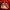Tas tod’s patent leather bag photo 1
