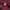 Crocodile Casual Casual shirt Pria burgundy red photo 4