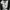Undercover archive photo 2